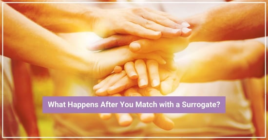 gay surrogacy matching process