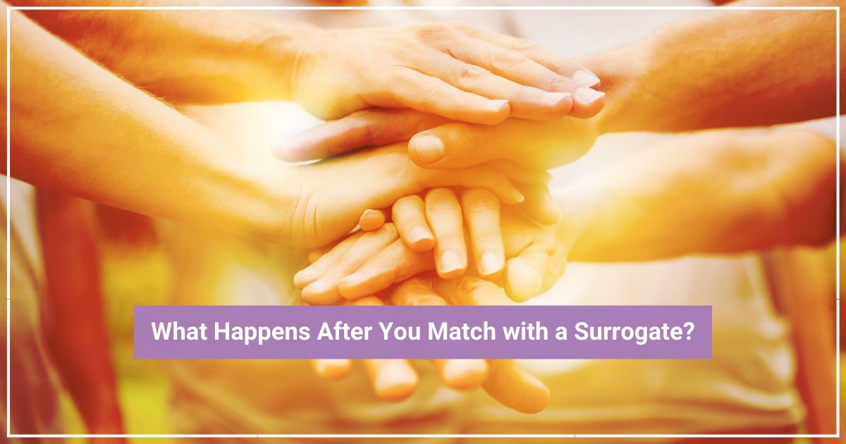 gay surrogate matching process