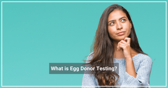 BLOG_Egg Donor Testing
