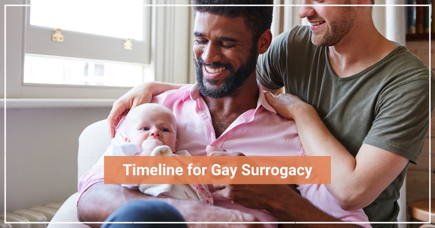 Timeline for Gay Surrogacy