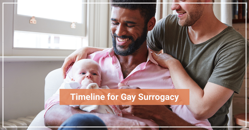 Timeline for Gay Surrogacy