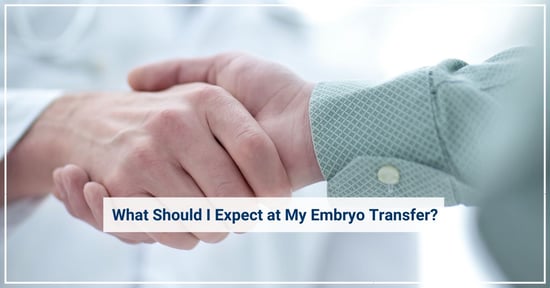 embryo transfer gay couples