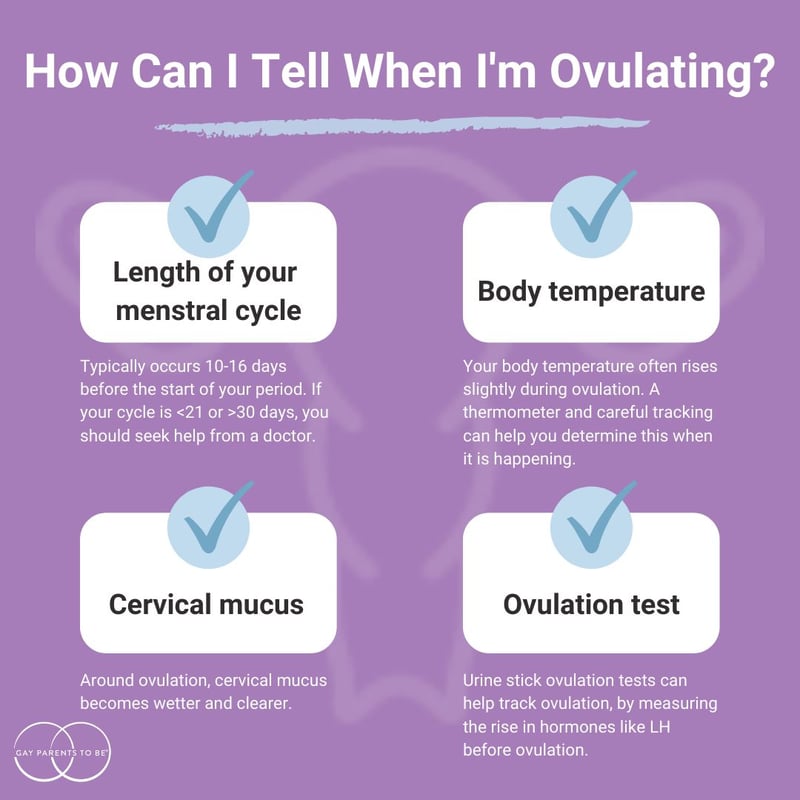 lesbian ovulation factors