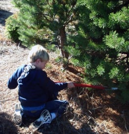 Family Holiday Traditions