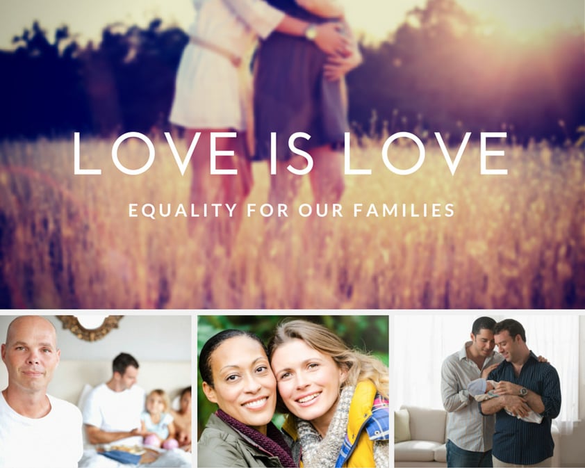 Marriage Equality | LGBT Family Building