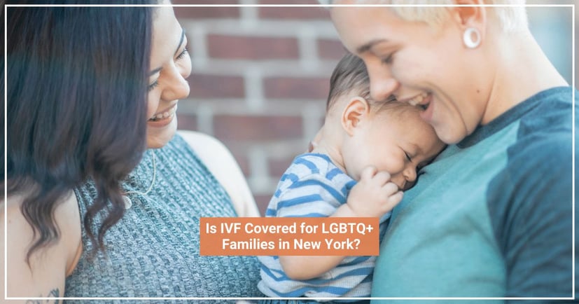 LGBTQ+ Families NYC