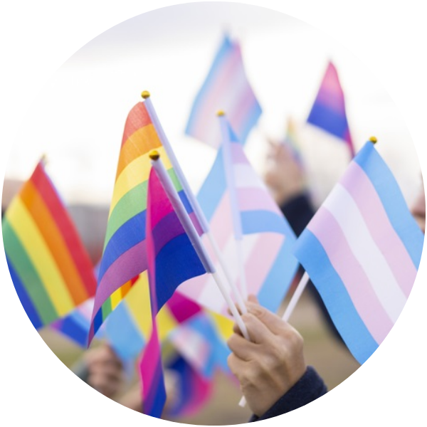 LGBTQ. Trans Flags