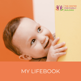 My-lifebook