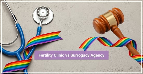 gay parents to be fertility practice v. surrogacy agency