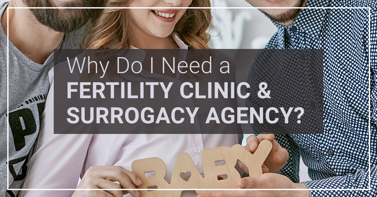 190801_GPTB_Why_Fertility_Clinic_Surrogacy_Agency_AD_FB
