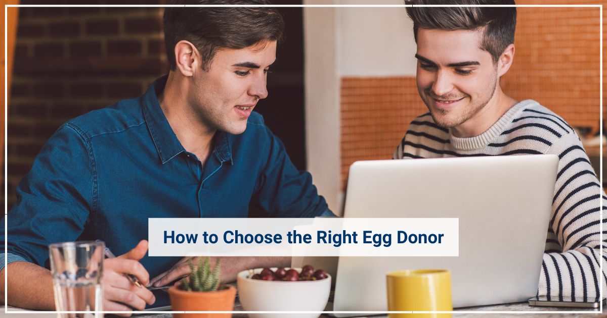 choose an egg donor gay couples