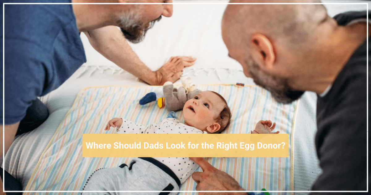 two fathers in foreground leaning over a small baby laying on a blanket with a toy