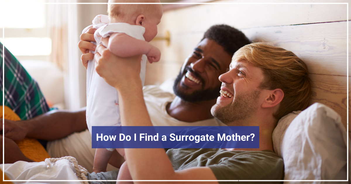 How to Find a Surrogate Mother