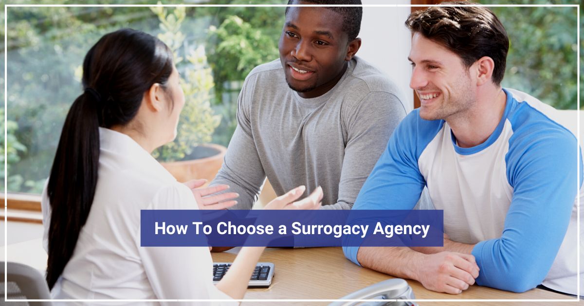 How to Choose a Surrogacy Agency