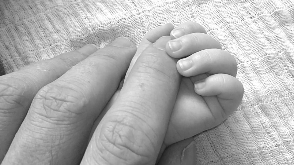 A baby's hand holding an adult hnad